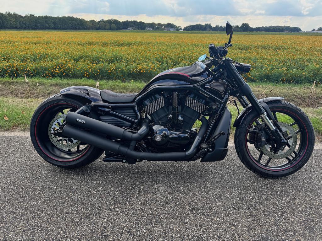 Schitterende Night Rod Special Bitcoin 300 band, Motoren, Motoren | Harley-Davidson, Niet ingevuld, Niet ingevuld, Particulier