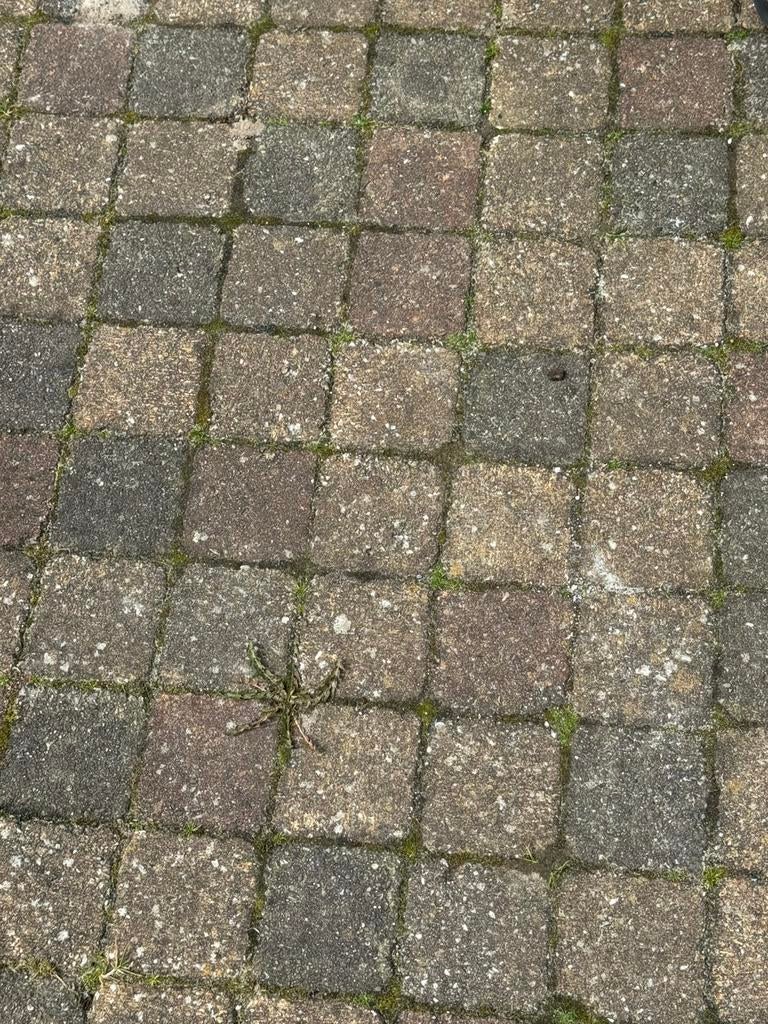 Koppelstones 10x10 ca 30m2, Tuin en Terras, Ophalen of Verzenden, Zo goed als nieuw, Beton, Klinkers