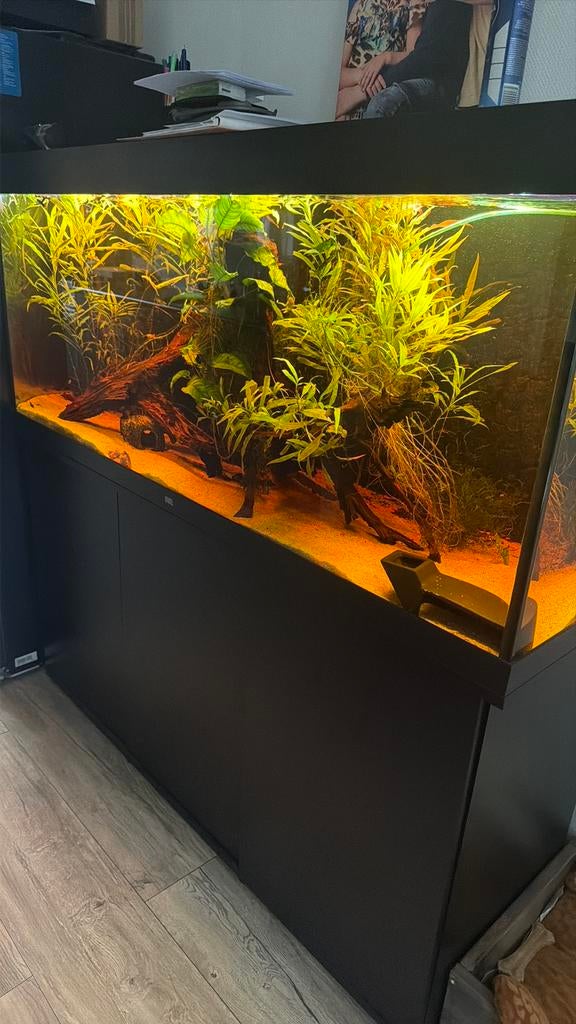 Juwel Aquarium compleet Rio 450, Dieren en Toebehoren, Ophalen, Zo goed als nieuw, Gevuld zoetwateraquarium