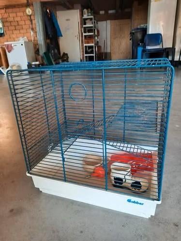 Hamsterhok, Dieren en Toebehoren, Gebruikt, Minder dan 75 cm, Ophalen, Minder dan 60 cm