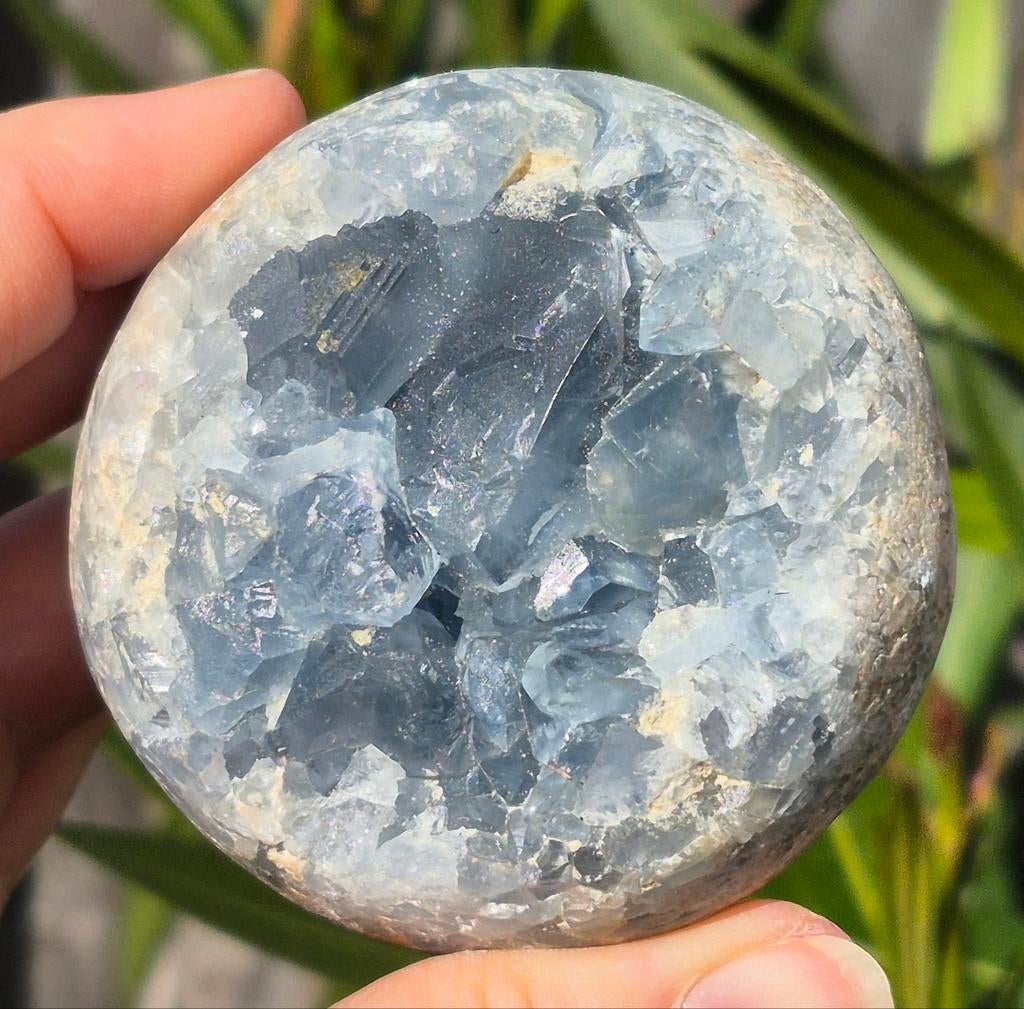 Celestien, Verzamelen, Ophalen of Verzenden
