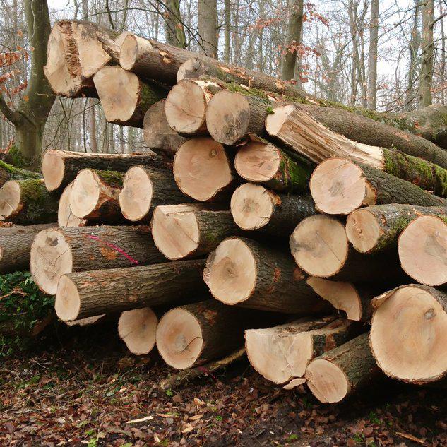 Haardhout / brandhout 30cm blokken of gekloofd, 6 m³ of meer, Ophalen, Blokken